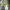 Nike Streetwear Sportswear Pria green gray photo 5