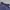 Adidas Sportswear Casual T-shirt Pria navy photo 6