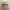 Vintage Indie Hat Pria white tan photo 1