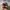 VANS Casual Sneakers Pria white red photo 6