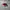VANS Casual Sneakers Pria white red photo 1
