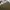 Charles and Keith Vintage Luxury Tote bag Wanita khaki photo 6