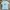 Streetwear Y2K T-shirt Pria Cream Blue