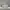 Michael Kors Luxury Bags & purse Wanita white photo 3