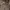 Barbour Vintage Casual Jumper Pria Brown