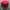 Chase Nascar Y2K Biker Hat Pria red black photo 2