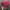 Chase Nascar Y2K Biker Hat Pria red black photo 1