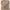 Minimalist Sweater Wanita tan photo 1