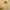 Luxury Sweater Wanita yellow photo 1