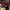 Adidas Streetwear Casual Sneakers Pria burgundy photo 4