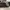 Adidas Streetwear Casual Sneakers Pria burgundy photo 5
