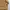 Minimalist Sweater Wanita khaki photo 3