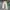 EDWIN Vintage Streetwear Pria tan brown photo 1