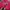 GAP Streetwear Casual Hoody Pria red photo 5