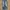 EDWIN Streetwear Skater Jeans Pria blue photo 1