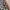 Casual Vest Pria tan gray photo 4