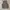 Casual Vest Pria tan gray photo 7