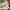 Nike Streetwear Sneakers Pria khaki photo 4