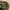 Casual Casual pants Pria green photo 3