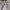 Oakley Vintage Casual Jersey Pria white photo 7