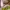 Oakley Vintage Casual Jersey Pria white photo 4