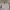 Oakley Vintage Casual Jersey Pria white photo 1