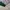Nike Vintage Streetwear Hoody Pria white green photo 3