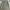 Vintage Casual Skirt Wanita tan gray photo 4
