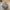 Streetwear Casual Hat Pria multicolor photo 5