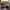 Louis Vuitton Indie Casual Sunglass Wanita burgundy brown photo 5