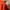 Adidas Gorpcore Track jacket Pria orange photo 7