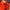 Adidas Gorpcore Track jacket Pria orange photo 2