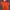 Adidas Gorpcore Track Jacket Pria Orange