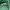 Casual Going out dress Wanita green photo 3