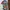 Minimalist Casual Kids multicolor white photo 4