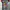 Minimalist Casual Kids multicolor white photo 5