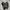 Nike Futurist Casual Sneakers Pria black photo 3