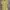 Streetwear Sportswear Jersey Pria yellow photo 1