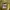 Streetwear Sportswear Jersey Pria yellow photo 4