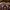 Luxury Dress shoe Pria burgundy photo 4