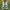 Adidas Sportswear Sneakers Pria white blue photo 1
