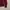 Burberry Luxury Casual Polo shirt Pria burgundy photo 4