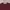 Burberry Luxury Casual Polo shirt Pria burgundy photo 2