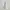 MLB Sportswear Short Pria white photo 2