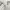 MLB Sportswear Short Pria white photo 3