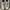 Adidas Streetwear Sneakers Pria white photo 2