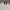 ZARA Minimalist Casual Denim jacket Pria black cream photo 4