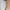 Casual Pencil skirt Wanita khaki cream photo 2