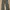 Vintage Y2K Casual pants Pria green gray photo 1