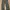 Vintage Y2K Casual Pants Pria Green Gray